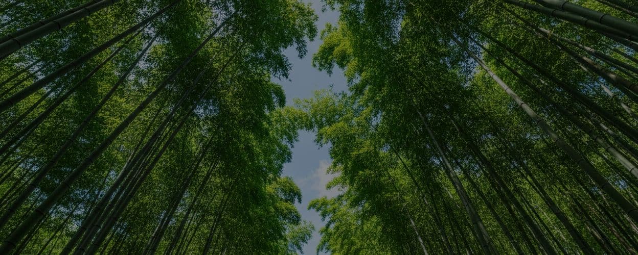 EcoSaver Background