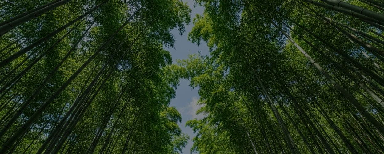 EcoSaver Background